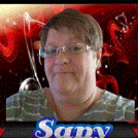 Sany